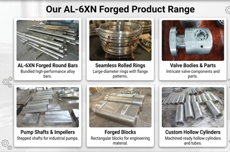 Custom AL-6XN (UNS N08367) forged components - China manufacturer Jiangsu Liangyi