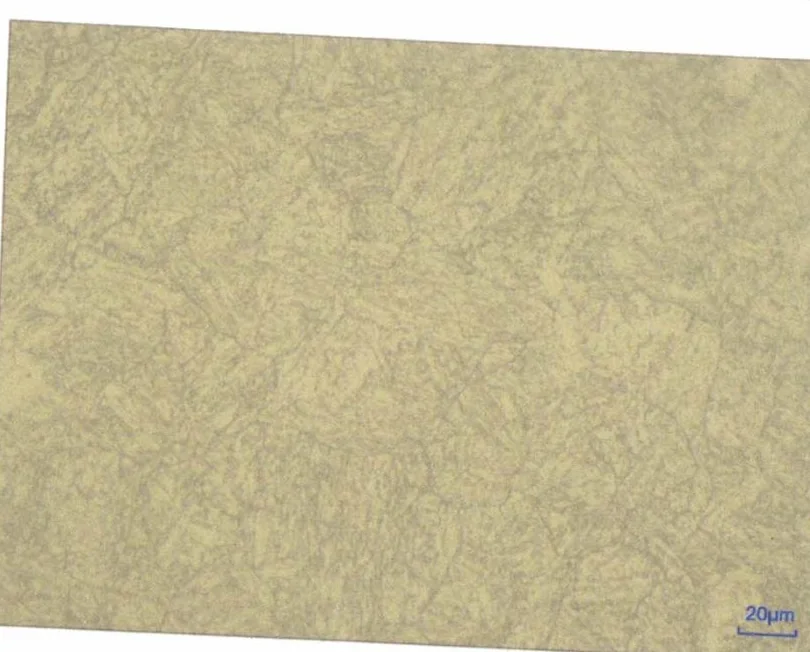 Hastelloy X (UNS N06002) microstructure with ASTM grain size No. 6 measured per ASTM E112, 20 micron scale bar