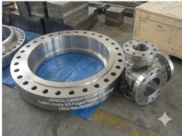 Custom Incoloy 925 Forged Flanges & Housings | China Manufacturer